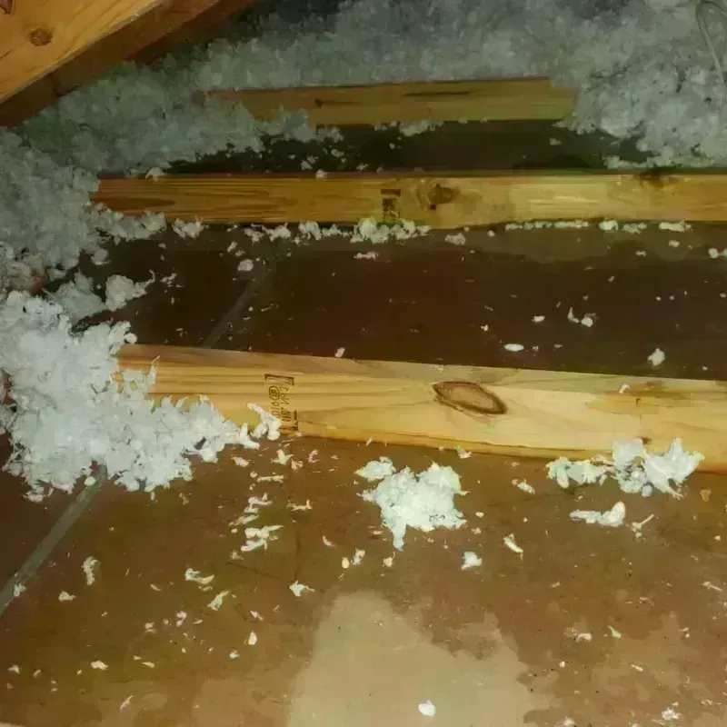 Attic Water Damage in Alum Rock, CA